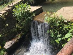 -藏龙百瀑风景区