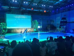 -华夏文旅海洋公园