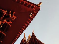 -梧桐山风景名胜区