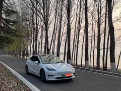 -TESLA 特斯拉(郑州正弘城体验店)