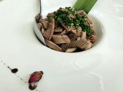 -梧桐