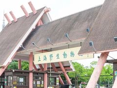-上海野生动物园