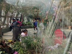 -北京植物园-展览温室