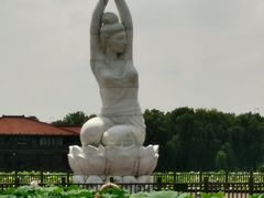 -荷塘月色湿地公园·向阳花洲