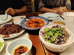 -小吊梨汤·北京菜·烤鸭(鸟巢店)