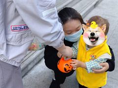 -豆初托育园 Baby Bean Day care Center