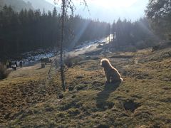 -硗碛藏寨·神木垒景区