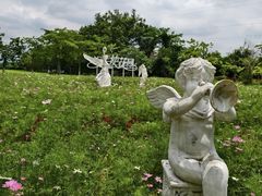 -广东花都香草世界旅游度假区