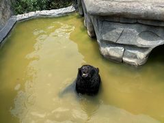 -云南野生动物园