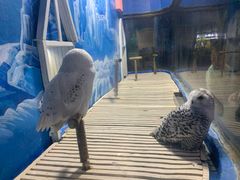 -成都浩海立方海洋公园