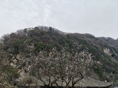-秦岭终南山世界地质公园翠华山景区