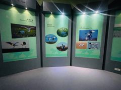 -盐城丹顶鹤湿地生态旅游区