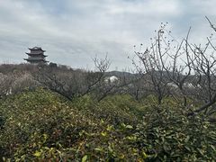 -南京市溧水区傅家边梅花山弄山庄