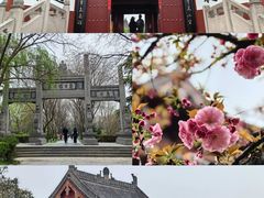 -洛阳白马寺