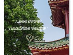 -中山公园