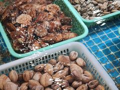 -百味饺子城•海鲜家常菜(秦皇岛店)