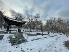 -元大都城垣遗址公园