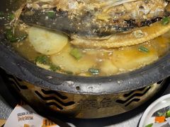 -探鱼·鲜青椒爽麻烤鱼(中山大信新都汇店)