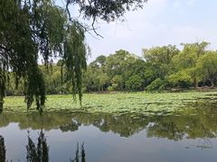 -北陵公园