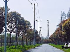 -上海长兴岛郊野公园