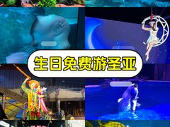 -大连圣亚海洋世界