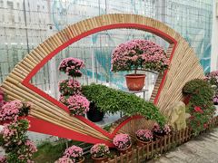-上海鲜花港