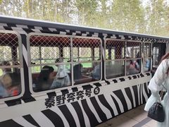 -秦皇岛野生动物园