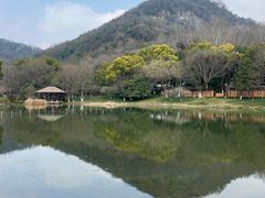 -八卦田遗址公园