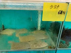 -叙福楼海鲜酒家(季华西路店)