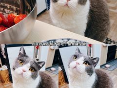 -英皇电影城(英皇集团中心IMAX店)