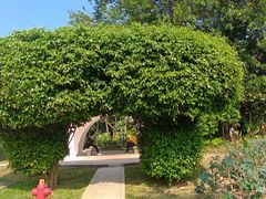 -人民公园(罗湖区)