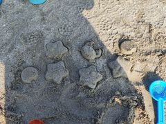 -惠来肠粉(省妇幼店)