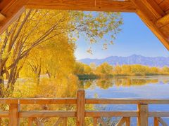 -野鸭湖国家湿地公园