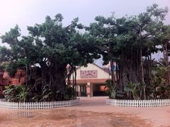 cuments&nbsp;and&nbsp;Settings\12070024\桌面\大众\蓬莱欧乐宝\IMG_1431-蓬莱欧乐堡梦幻世界