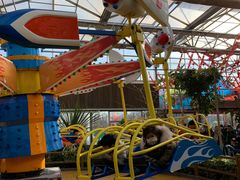 -南宫五洲植物乐园