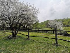 -大水川景区