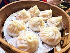 -莱莱小笼·乔艾