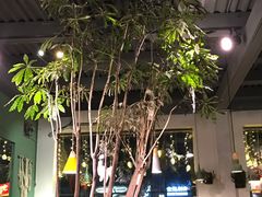 -ZooYoo佐佑咖啡(鼓楼店)