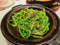 -谭厨中山传家菜.乳鸽.脆鲩鱼(华强北中航城店)