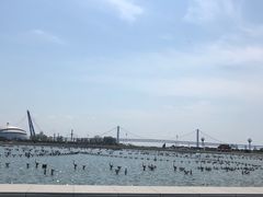 -大连星海广场音乐喷泉