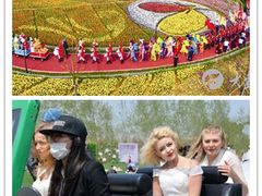 -荷兰花海
