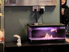 -星空密室·精选(天一豪景店)