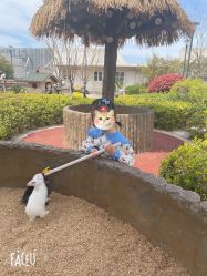 -造物庄园 萌宠纪(苏州湾歌林公园店)