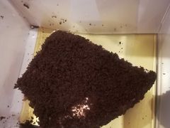 -小樽洋菓子铺LeTAO(华润时代店)