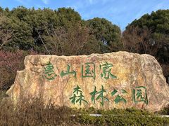 -惠山国家森林公园