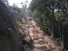 -南山植物园