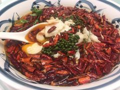 沸腾东星斑-新吉士·上海菜(浦东LCM置汇旭辉店)