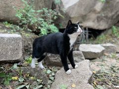 -北京凤凰岭