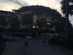 -东芭乐园