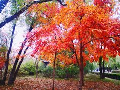 -长春市南湖公园